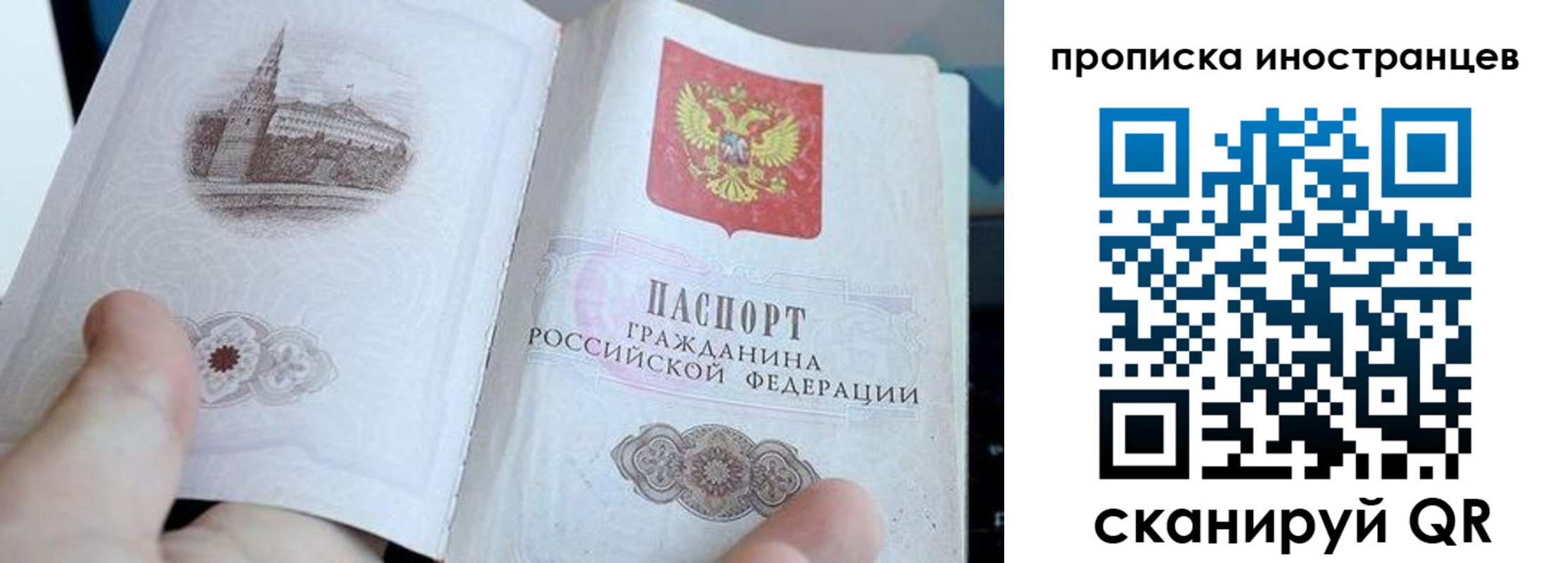 прописка поиск в Льгове